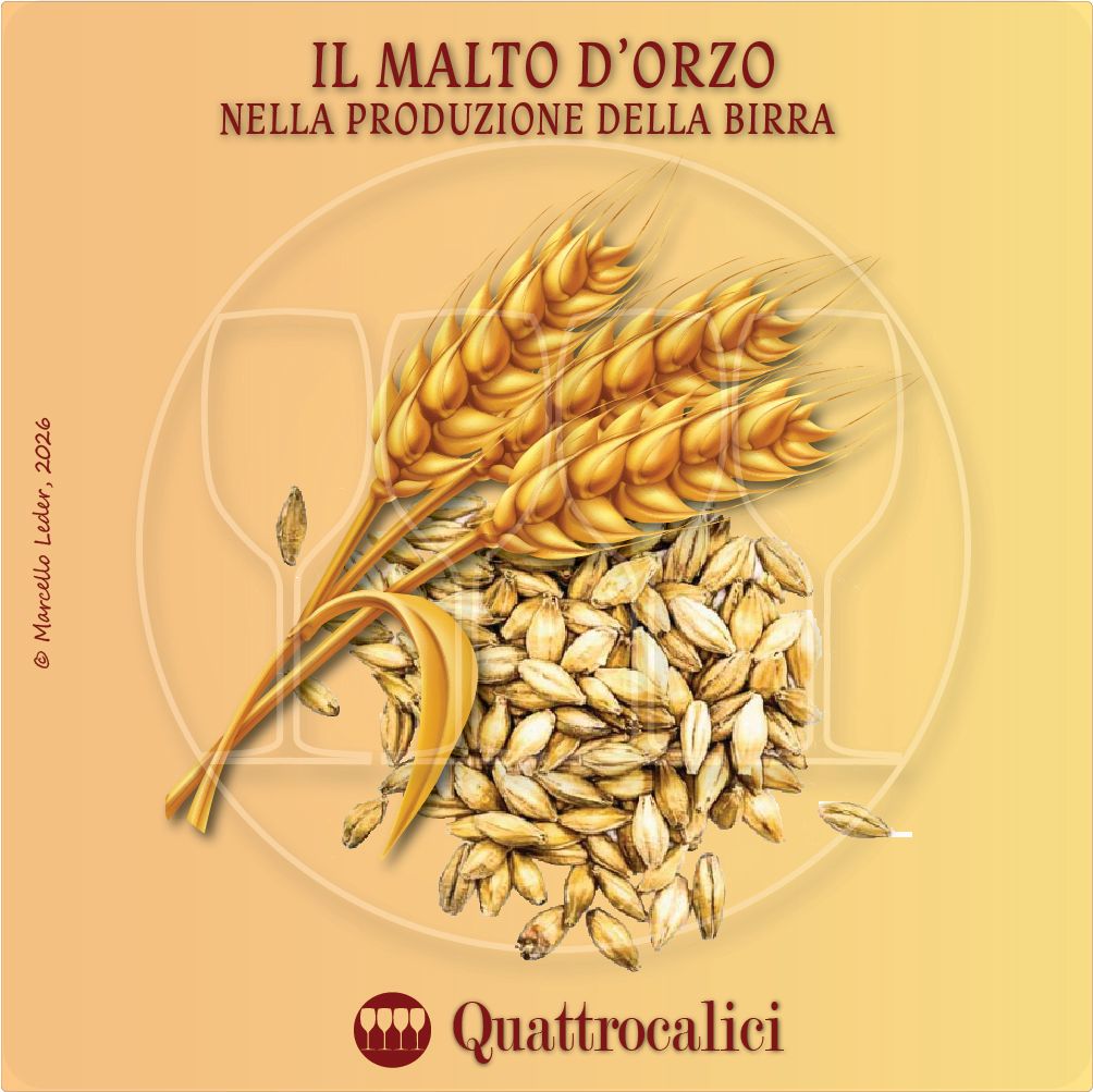 Il Malto d'orzo nella produzione della birra