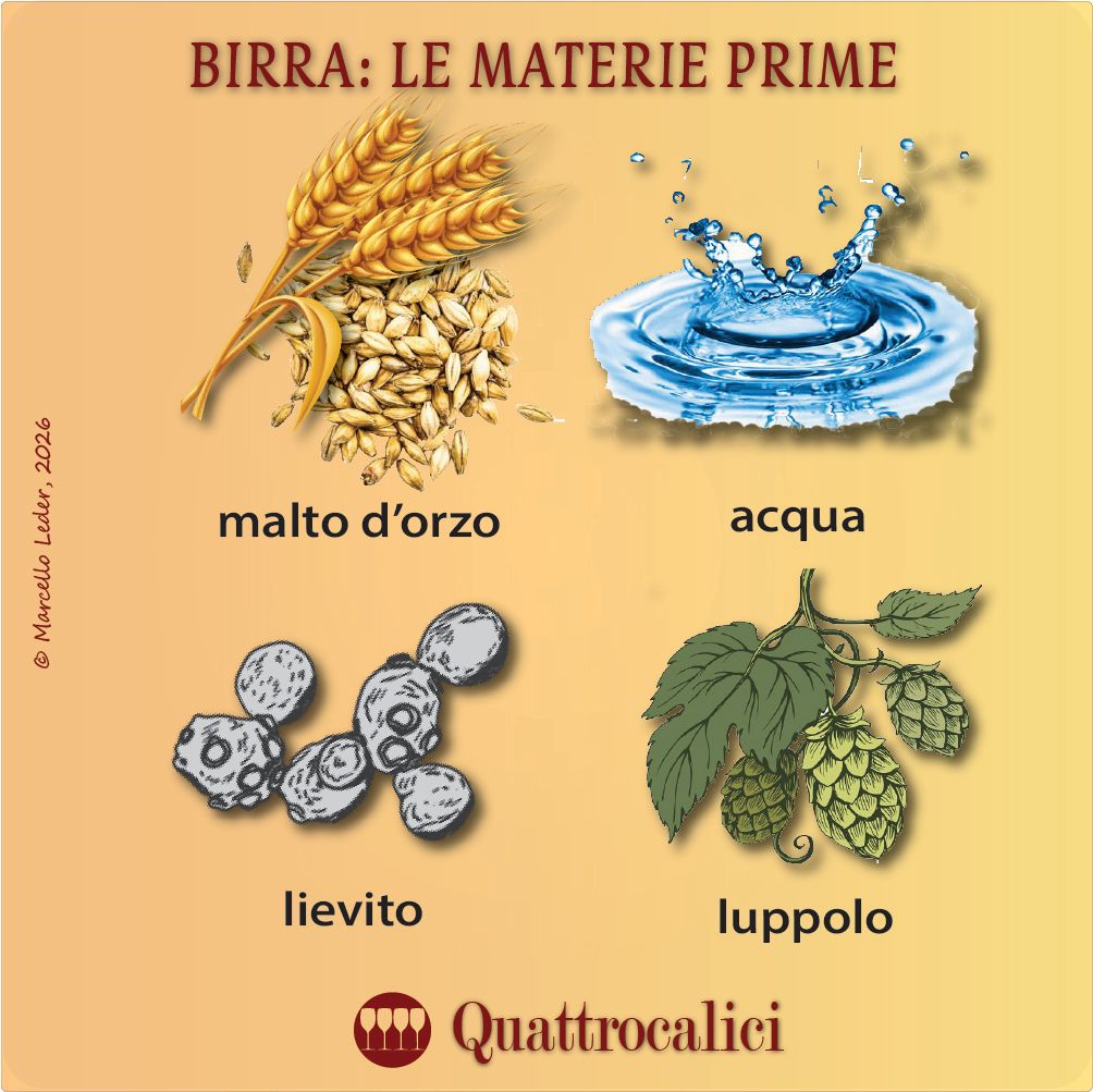 Le materie prime della birra