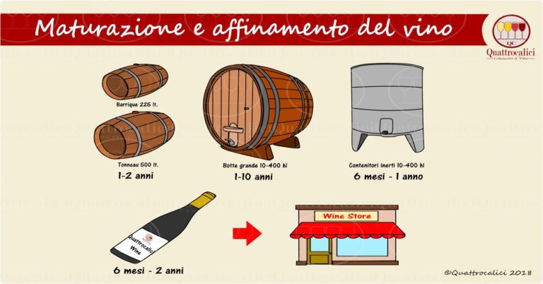 maturazione e affinamento del vino