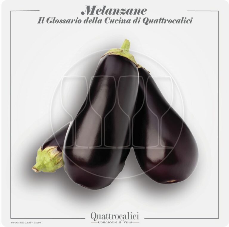 le melanzane in cucina e con il vino