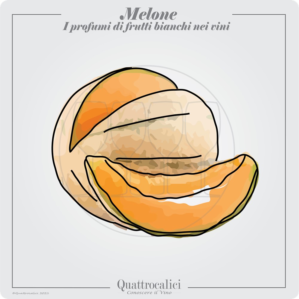 Il profumo di melone nei vini