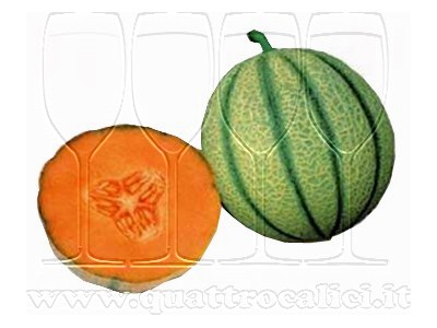 Melone Mantovano IGP