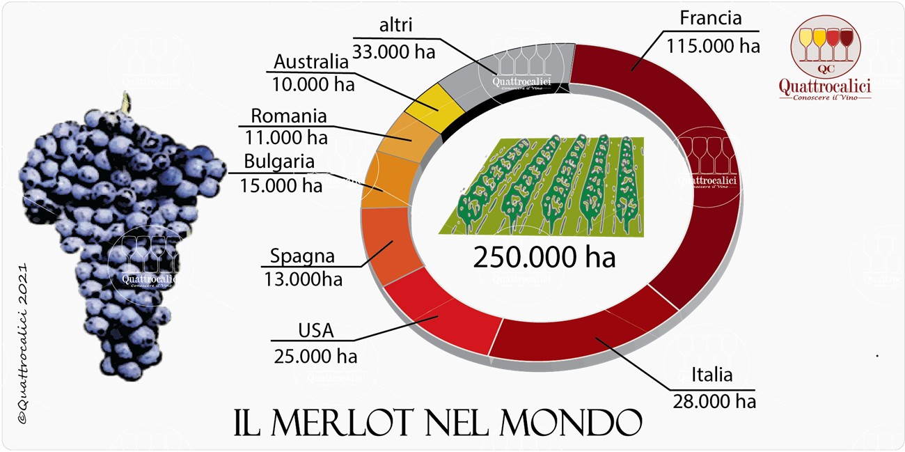 merlot nel mondo