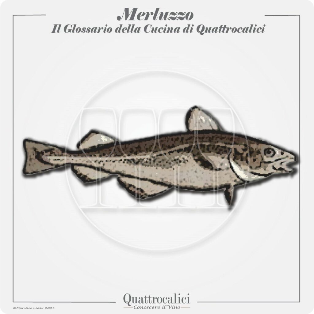 il merluzzo in cucina e con il vino