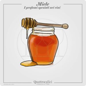 Il profumo di miele nei vini