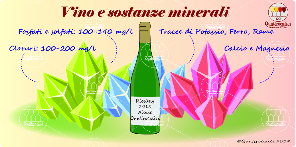 minerali e sapidità del vino