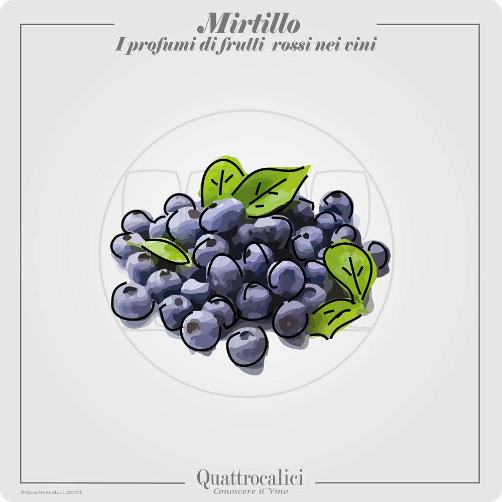 Il profumo di mirtillo nei vini