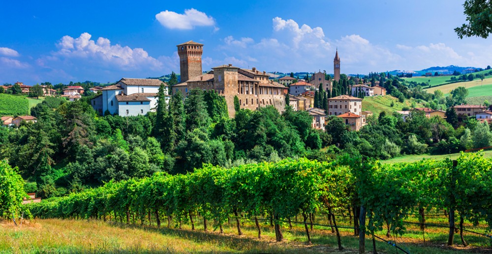 provincia modena vino