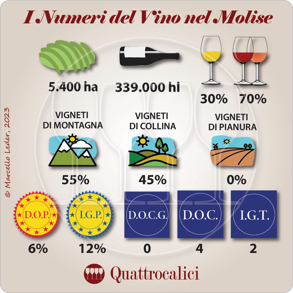 i numeri del vino in molise