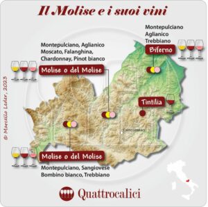 il vino in molise