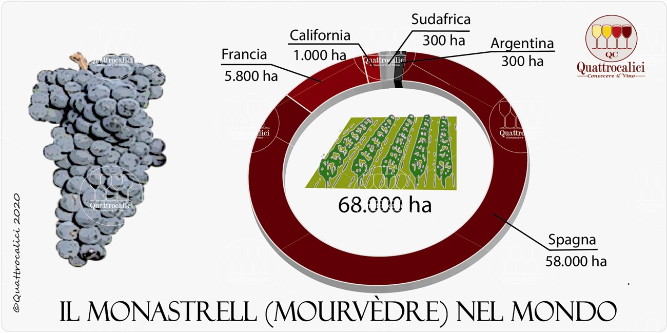 monastell mourvedre nel mondo