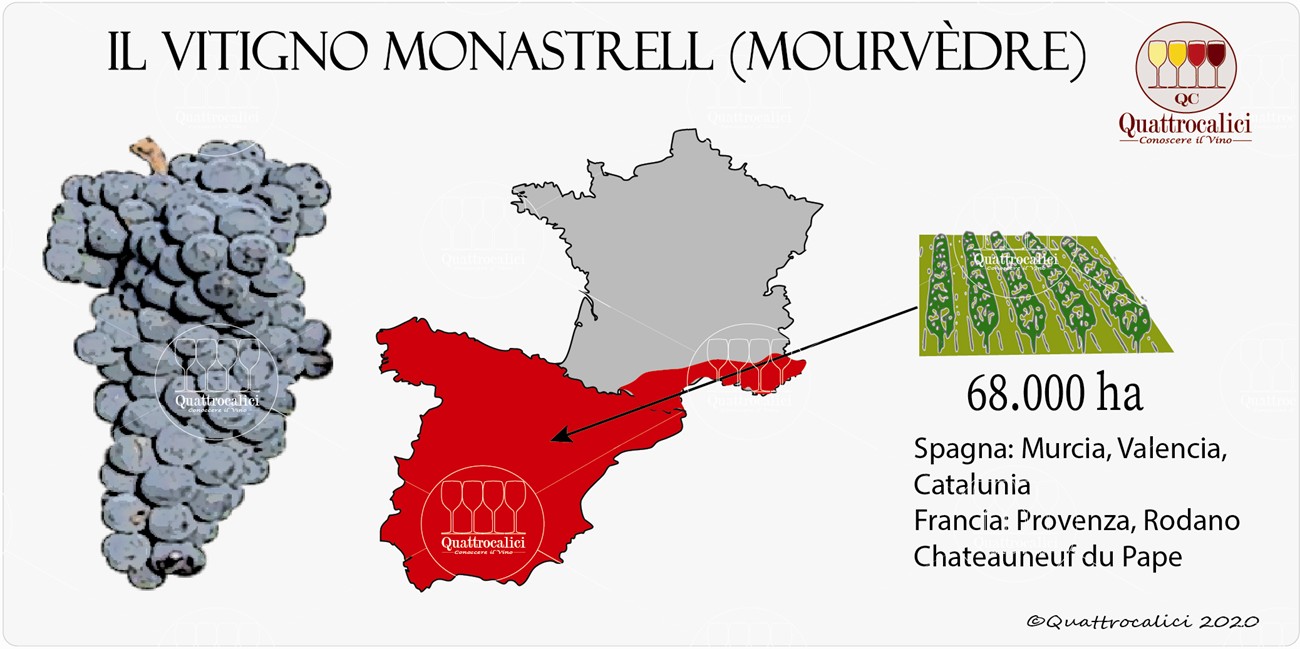 vitigno monastrell mourvedre