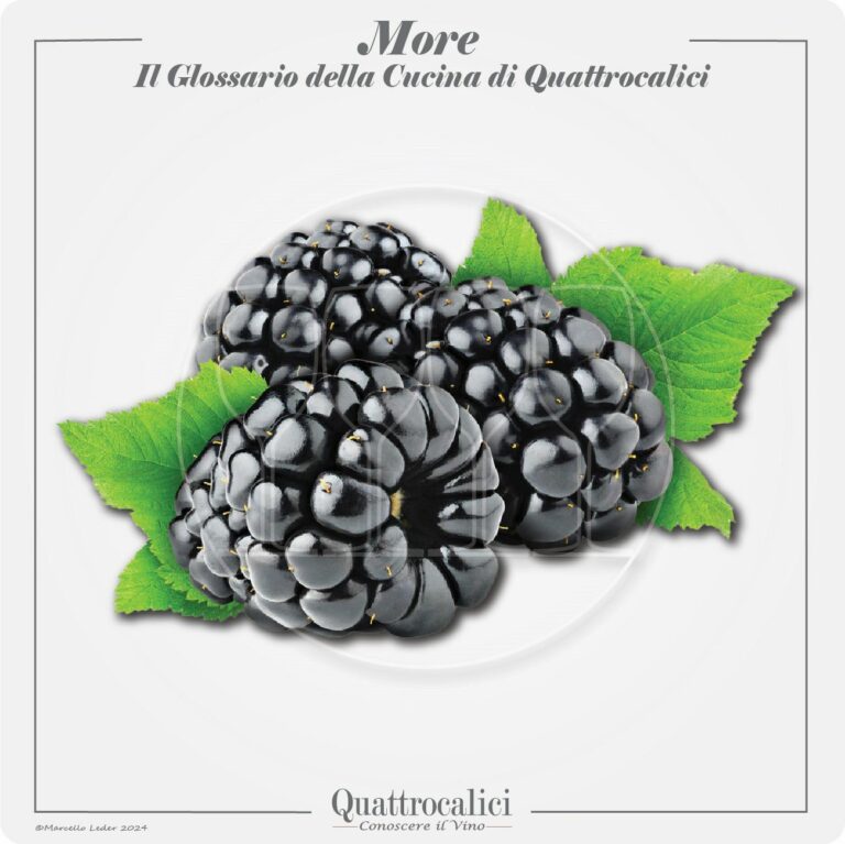 le more in cucina