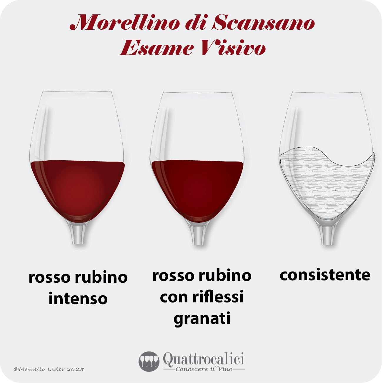 L'esame visivo dei vini Morellino di Scansano