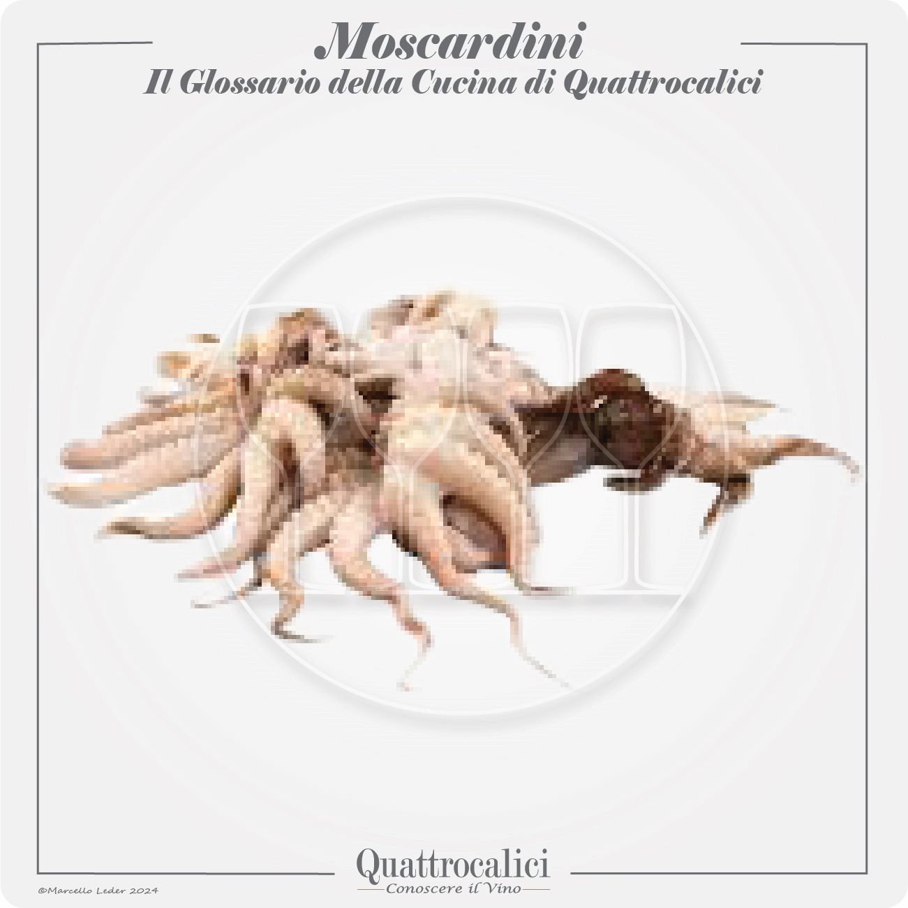 i moscardini in cucina