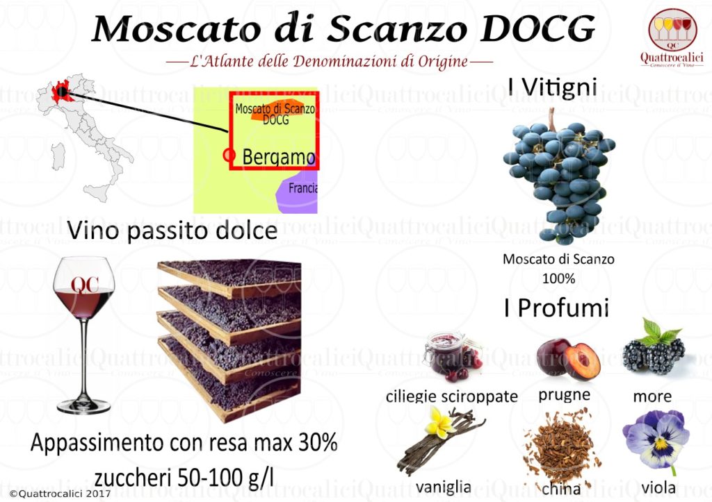 moscato-di-scanzo-docg