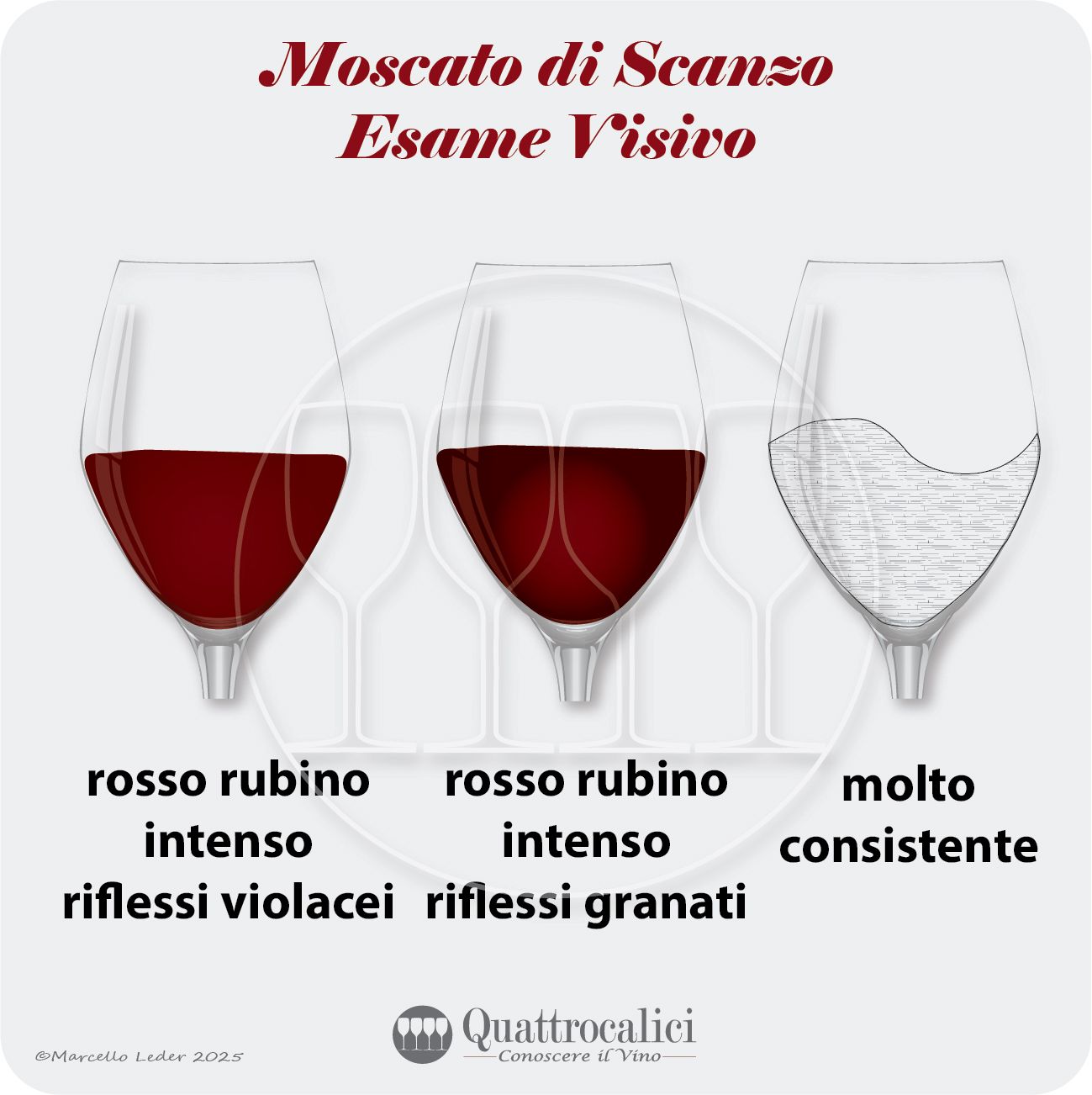 L'esame visivo del Moscato di Scanzo