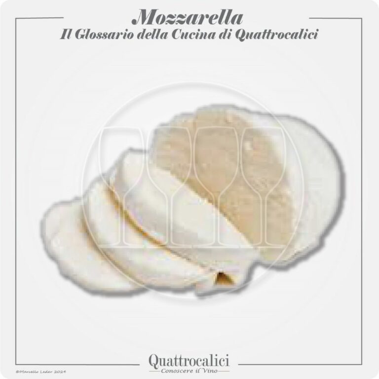 la mozzarella in cucina e con il vino