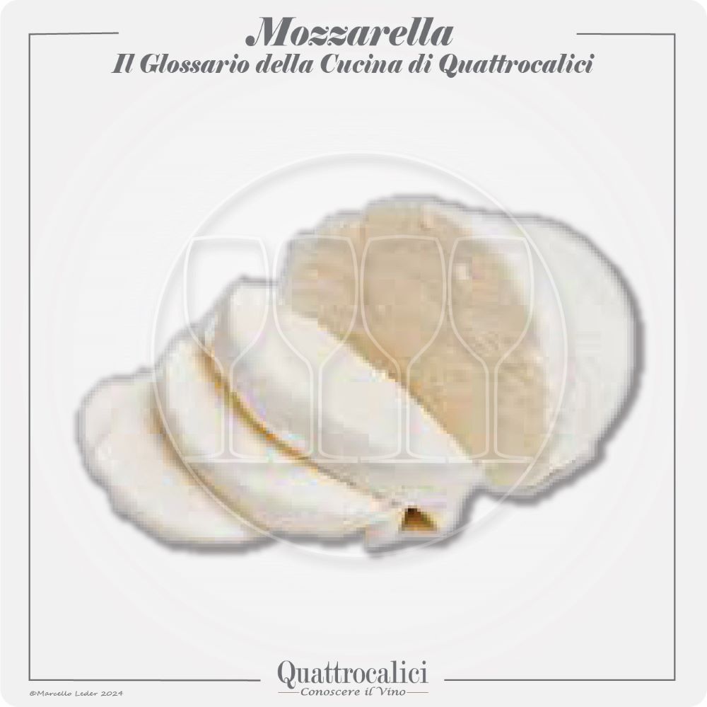 la mozzarella in cucina e con il vino
