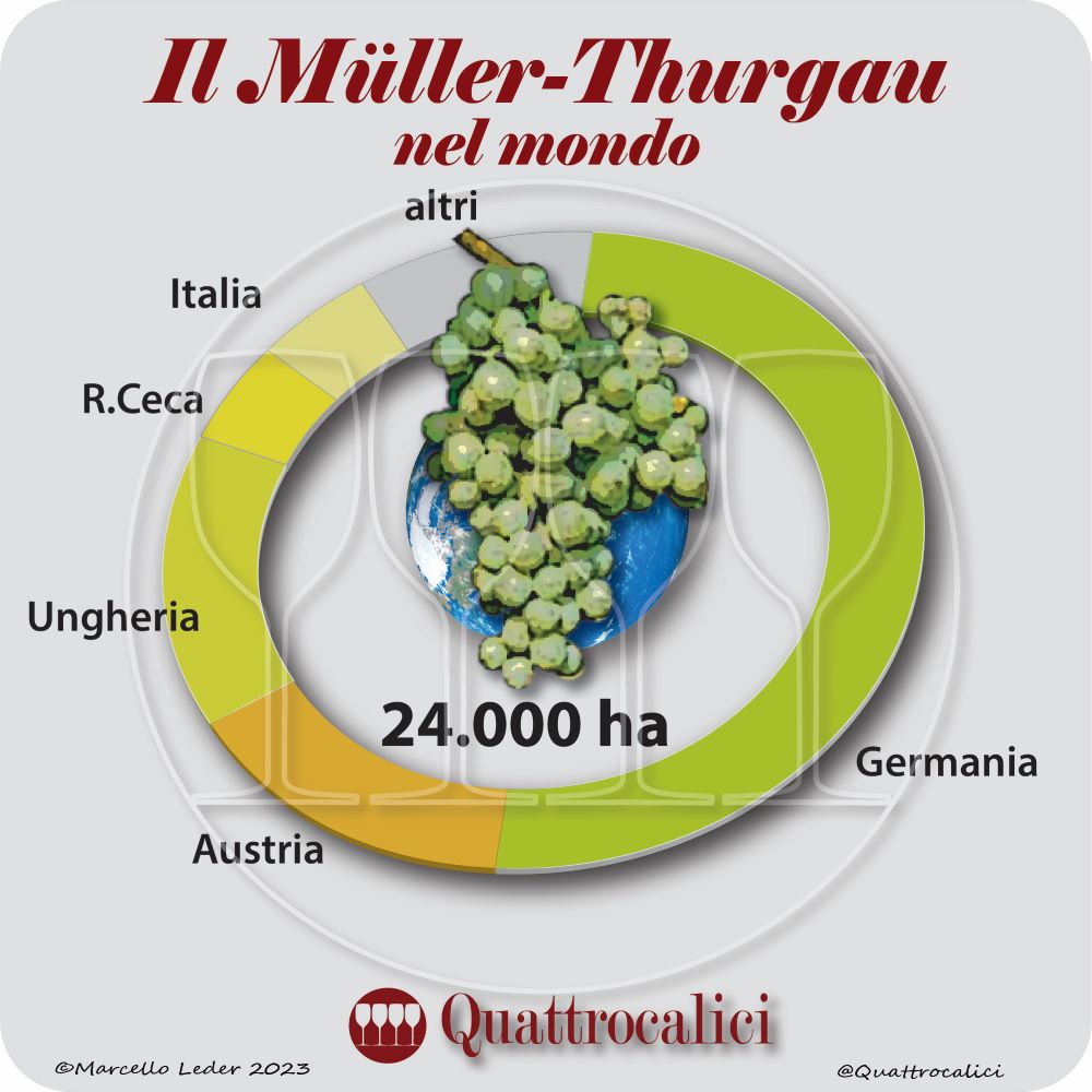 Il Müller-Thurgau nel mondo