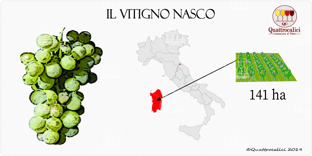 nasco vitigno