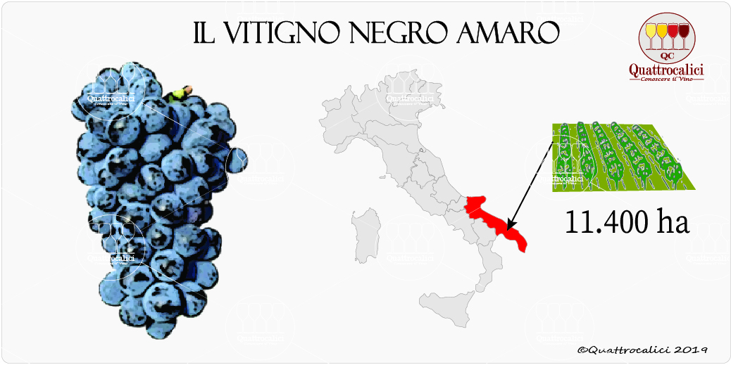 vitigno negro amaro