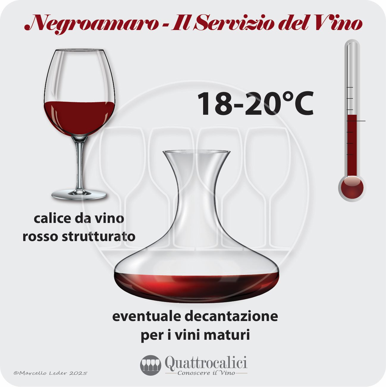 Il servizio dei vini Negroamaro