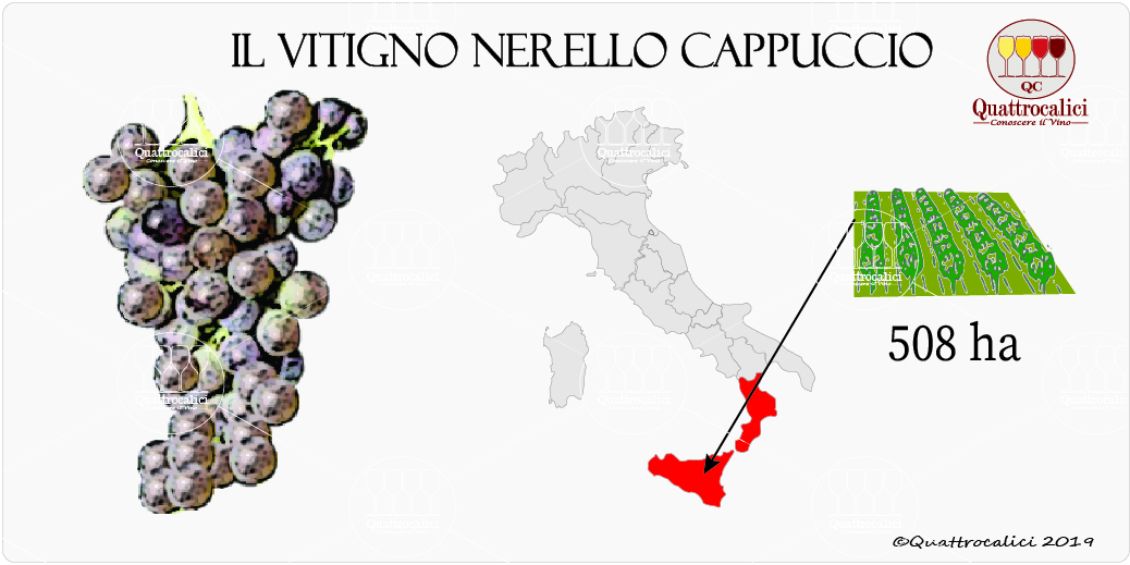 vitigno nerello cappuccio