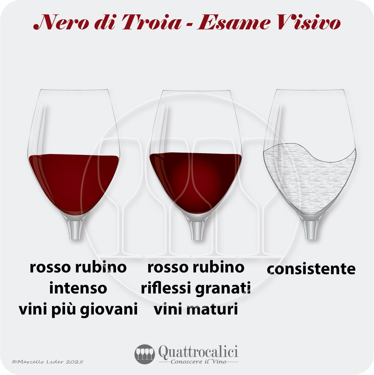 L'esame visivo dei vini Nero di Troia