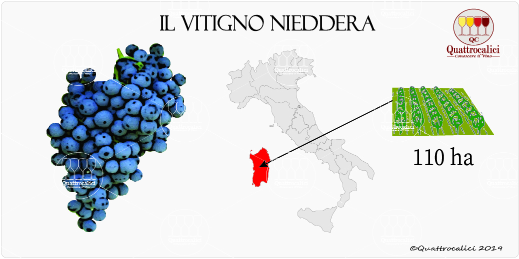 vitigno nieddera