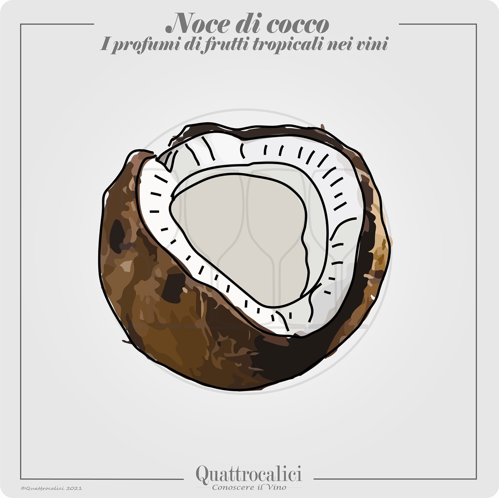 Il profumo di noce di cocco nei vini