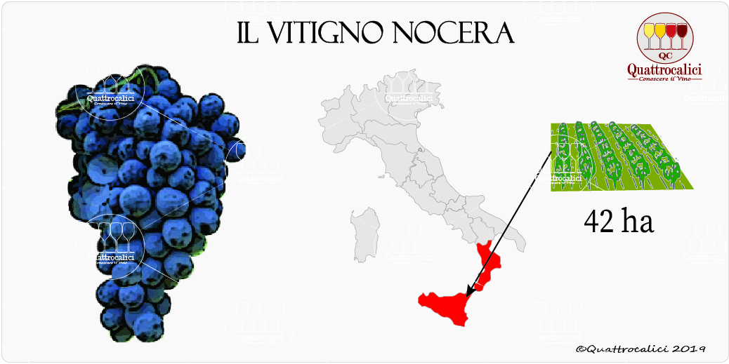 vitigni nocera