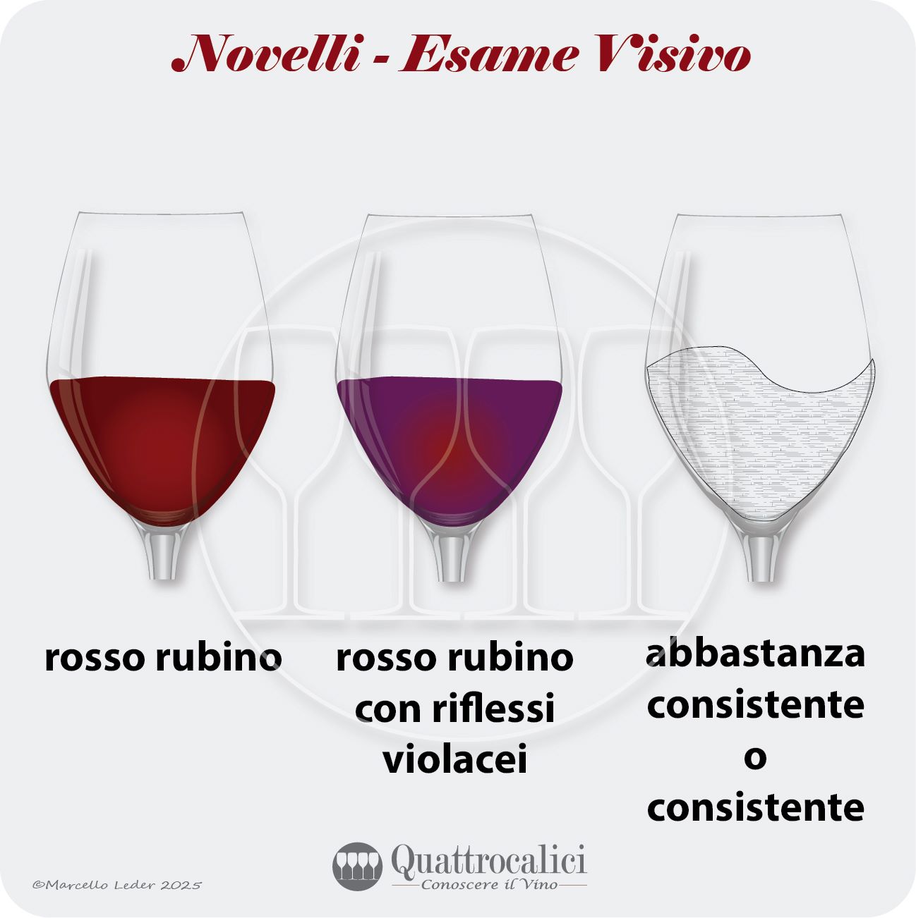 L'esame visivo dei vini Novelli