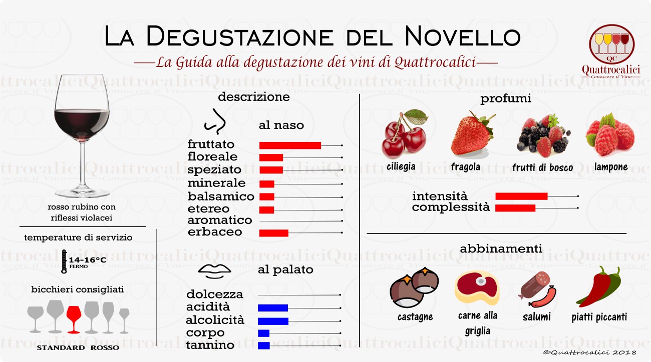 novello degustazione vino