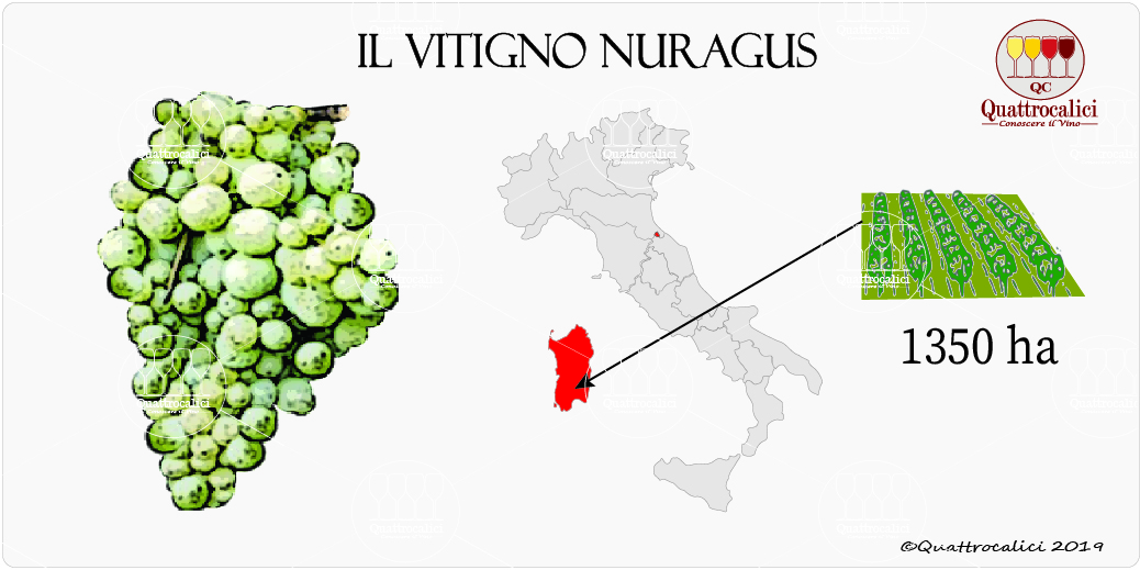 vitigno nuragus