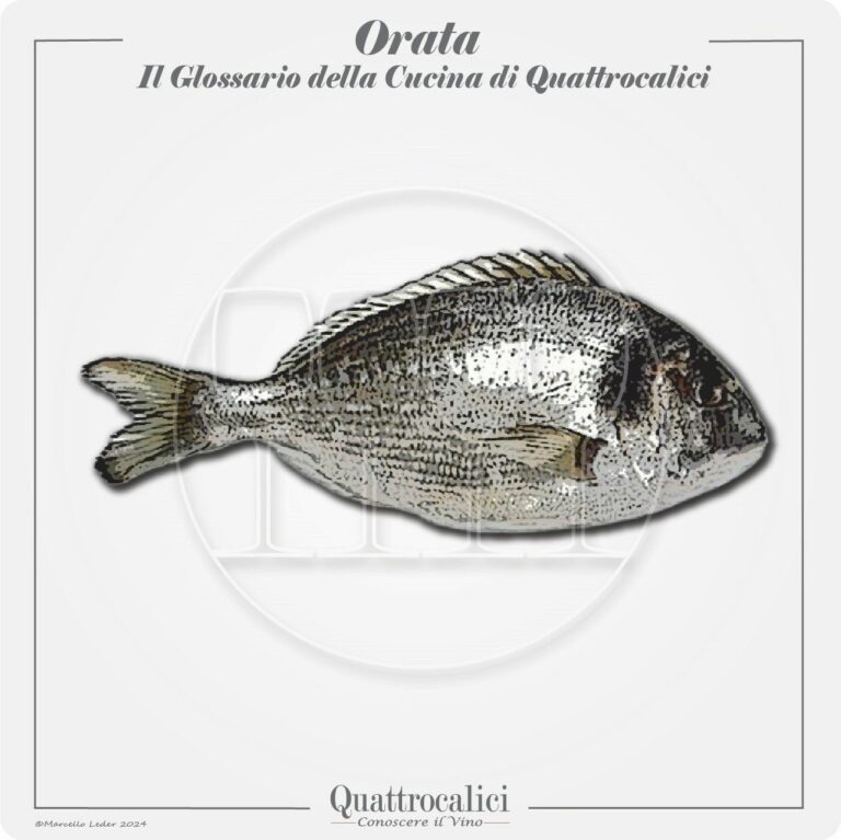 L'orata in cucina e con il vino