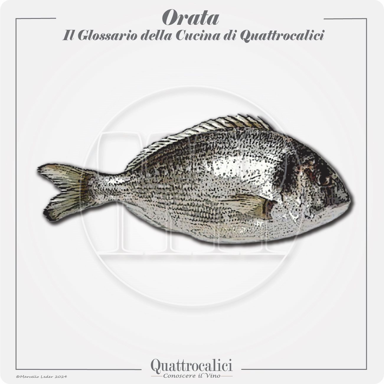 L'orata in cucina e con il vino