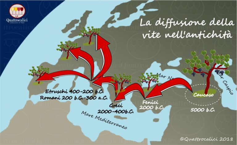 origine della vite e del vino