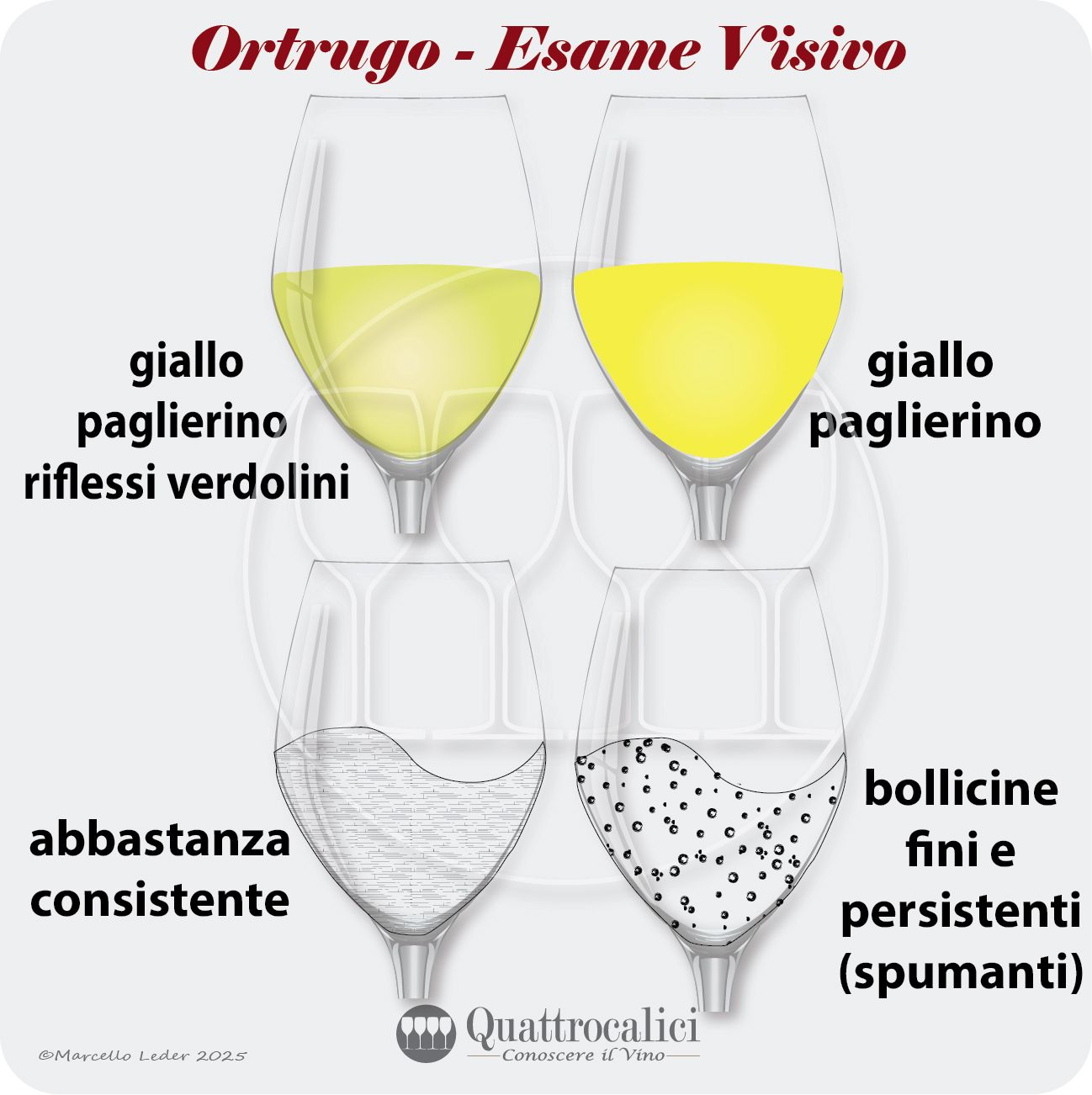 L'esame visivo dei vini Ortrugo