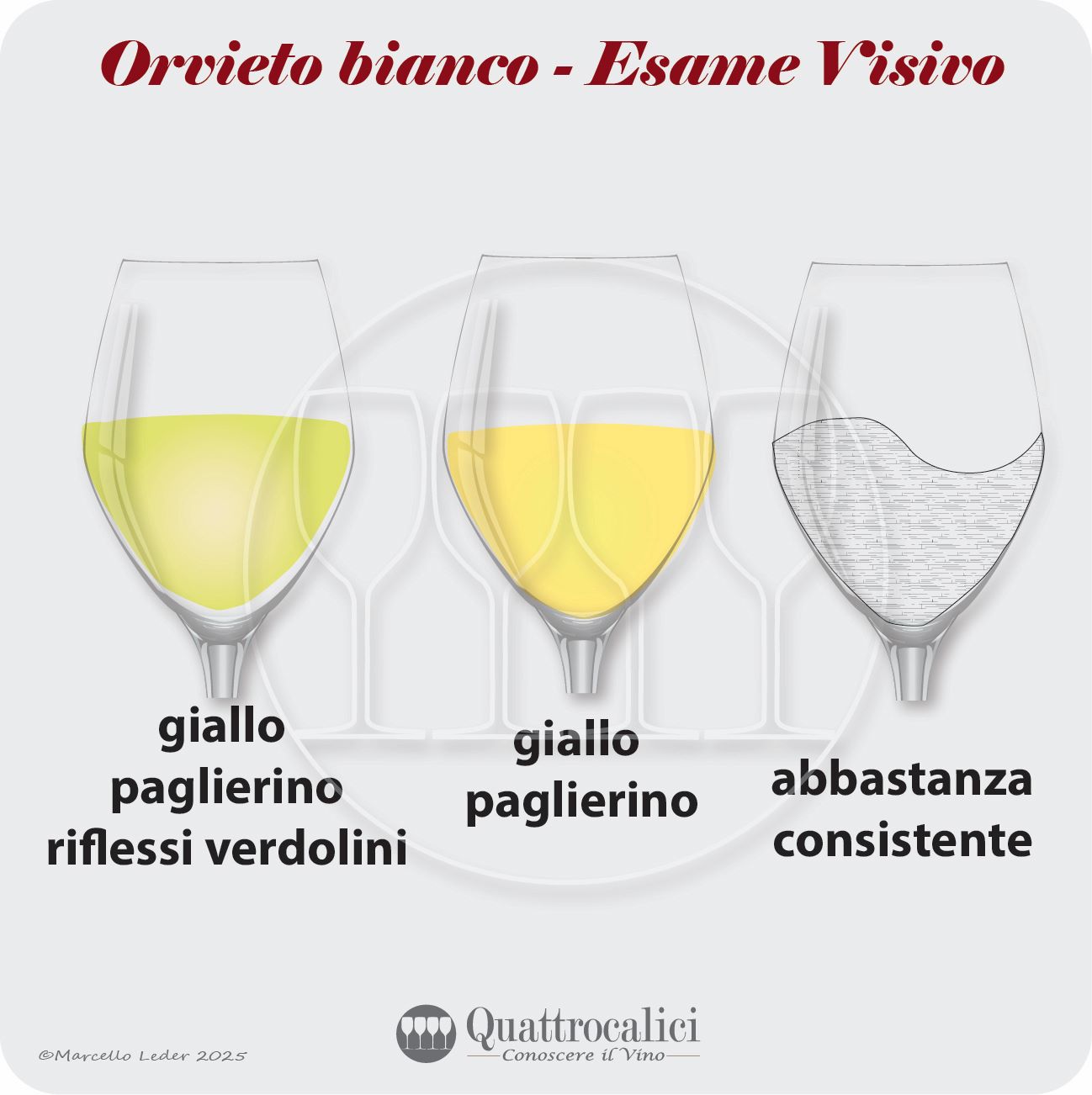L'esame visivo dei vini Orvieto bianco