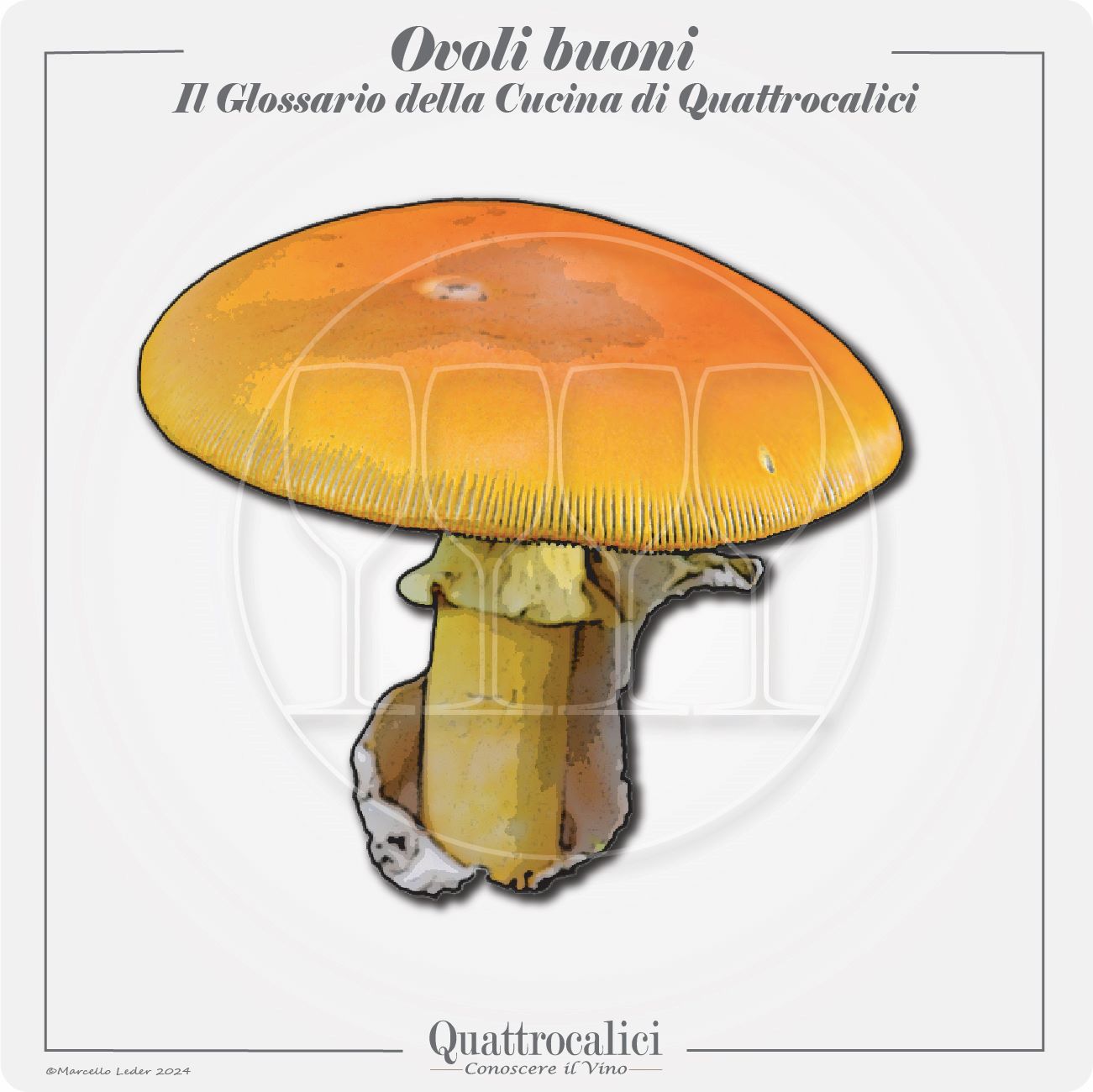 gli ovoli buoni in cucina
