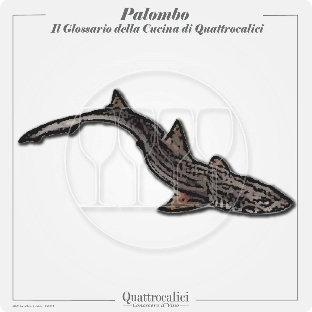 palombo in cucina e con i vini