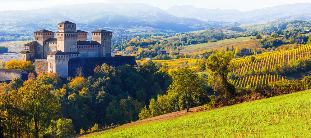 provincia parma vino