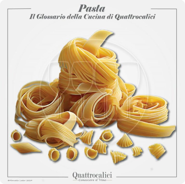 la pasta e i suoi abbinamenti con i vini