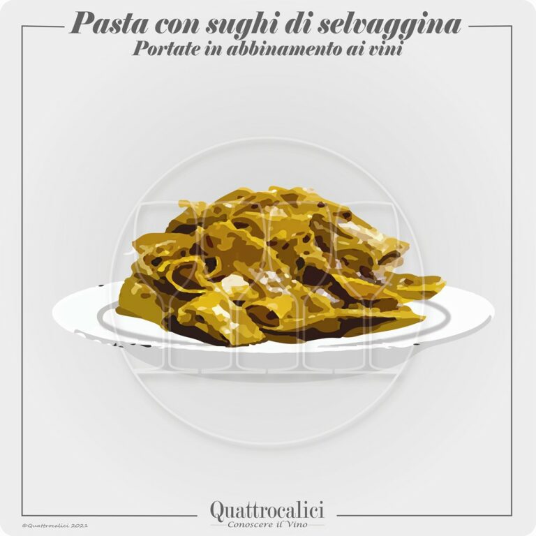 pasta con selvaggina abbinamento vino