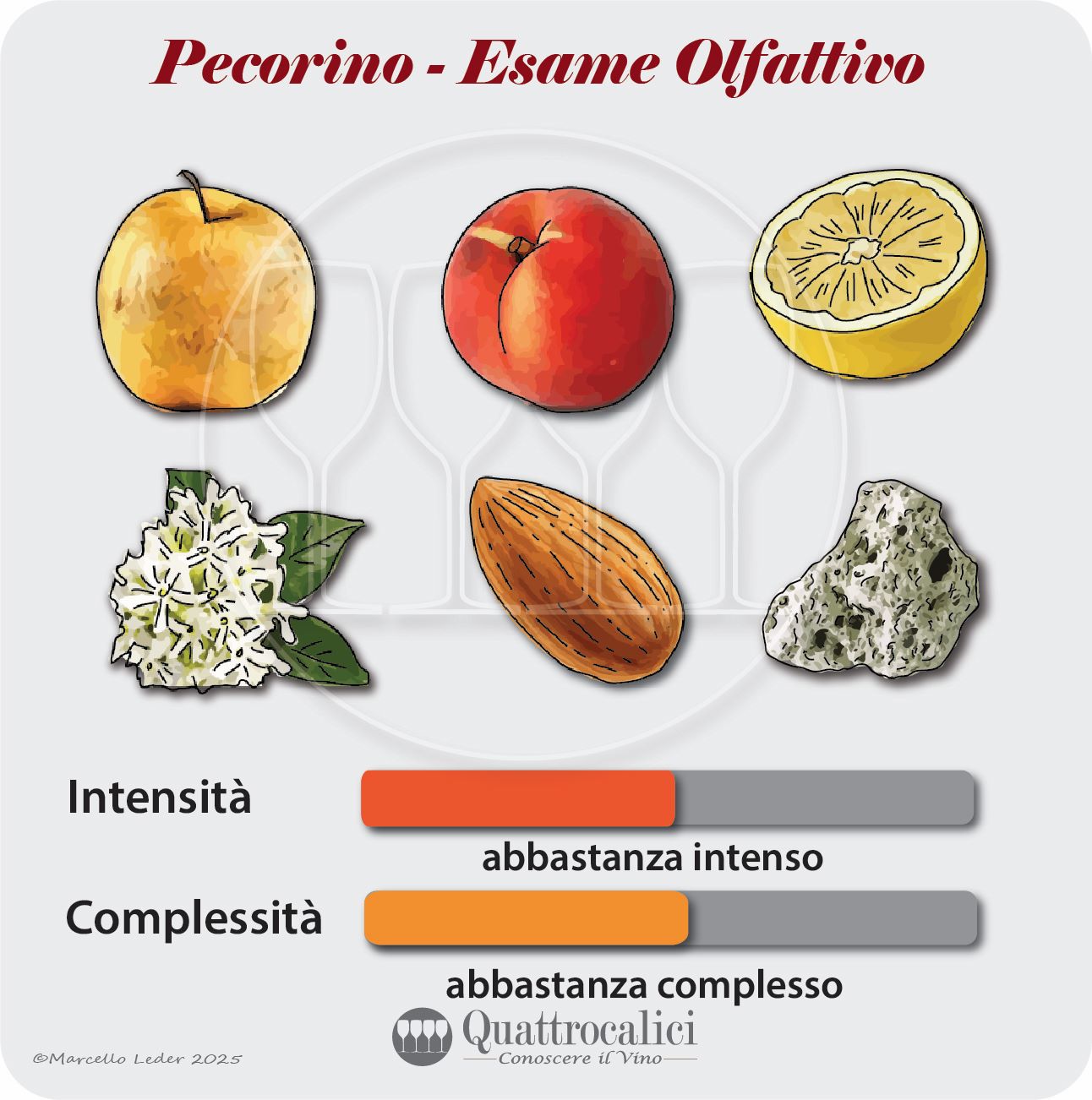 L'esame olfattivo dei vini Pecorino