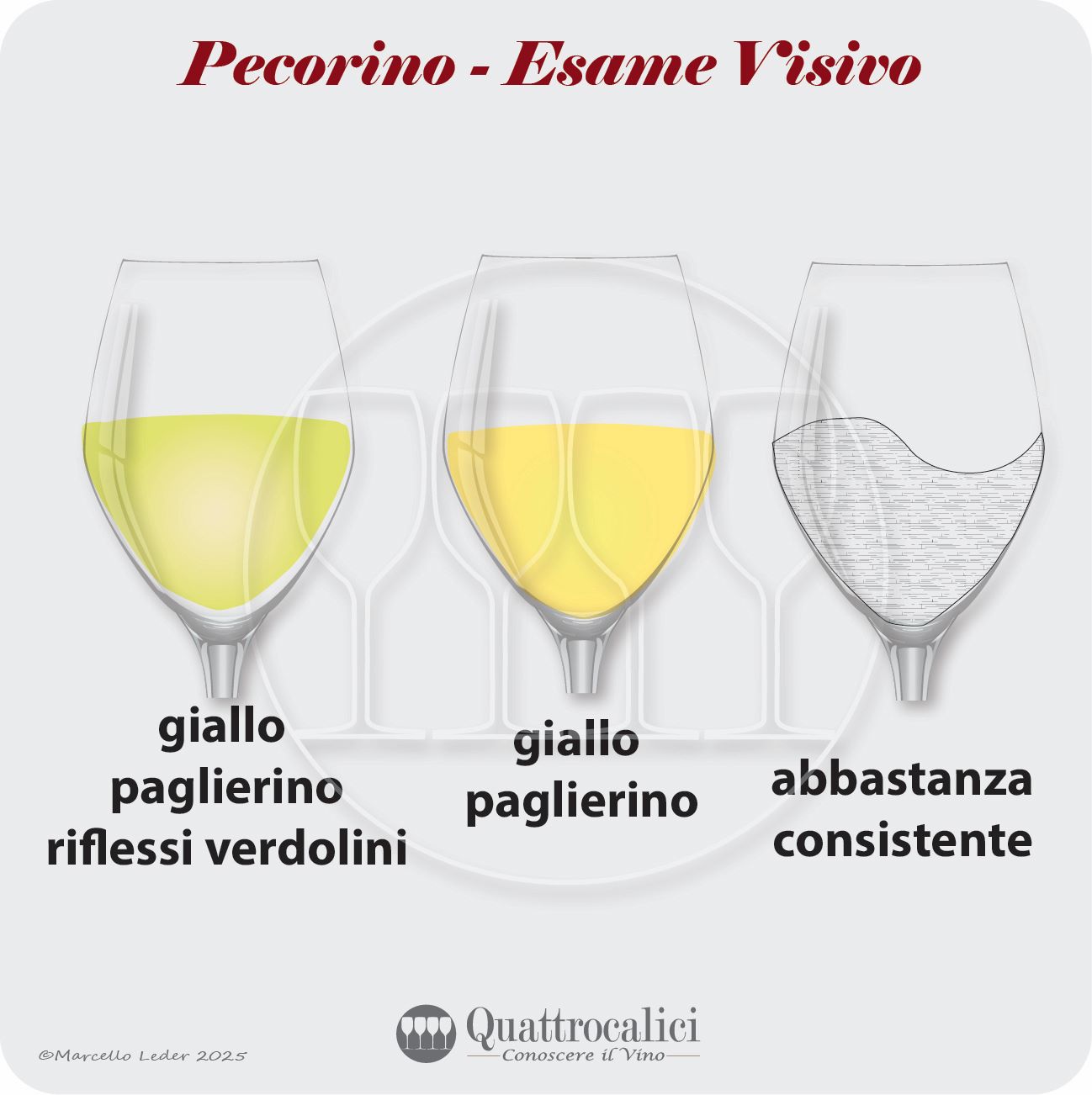 L'esame visivo dei vini Pecorino