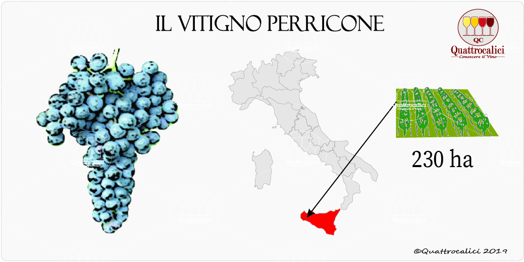 vitigno perricone