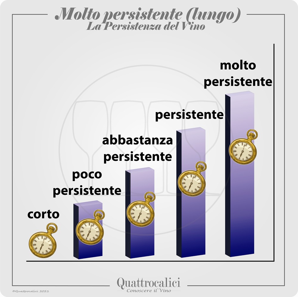 Vino molto persistente. Vino lungo