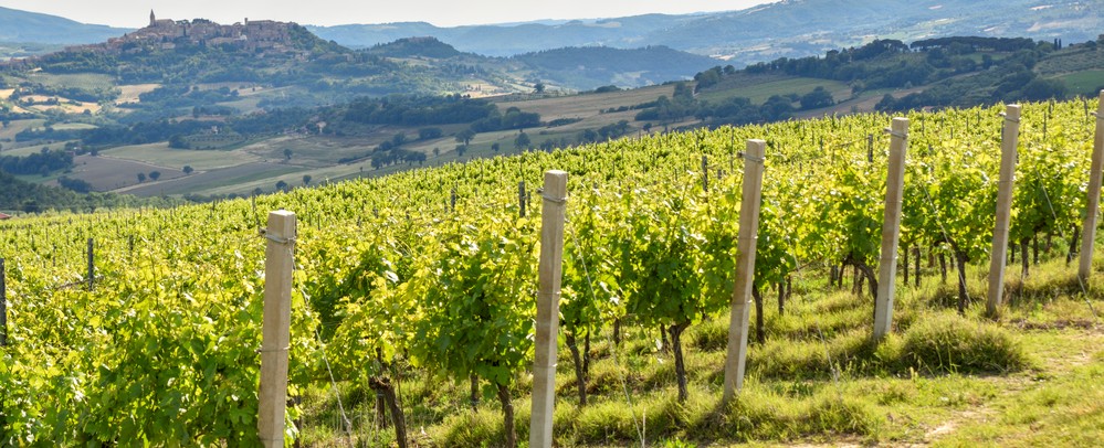 provincia di perugia vino